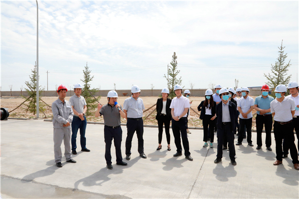 壹定发集团复工复产促增添项目观摩聚会与会职员走进大秦国源三秦环保秦邦园区在榆项目
