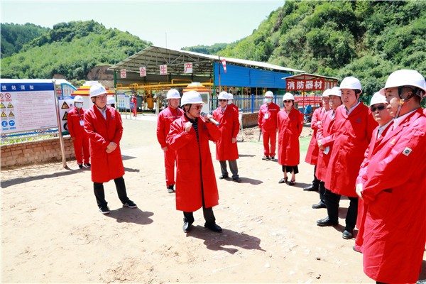 壹定发集团复工复产促增添项目观摩聚会与会职员走进环保保隆生态三秦在延在铜项目