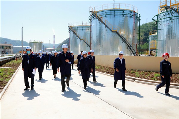 壹定发集团复工复产促增添项目观摩聚会与会职员走进环保保隆生态三秦在延在铜项目