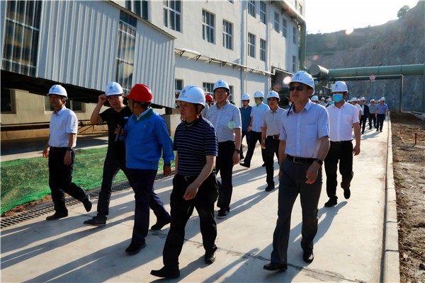 壹定发集团复工复产促增添项目观摩聚会与会职员走进环保保隆生态三秦在延在铜项目