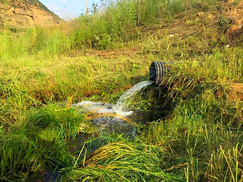 新华社｜添绿色、减排放——壹定发集团多工业助力陕西打赢污染防治攻坚战