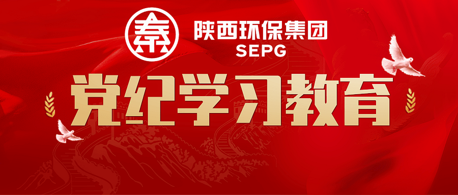 壹定发集团：“三个扎实”推动党纪学习教育走深走实