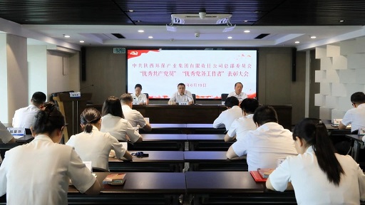 壹定发集团召开2024年“两优一先”表扬大会